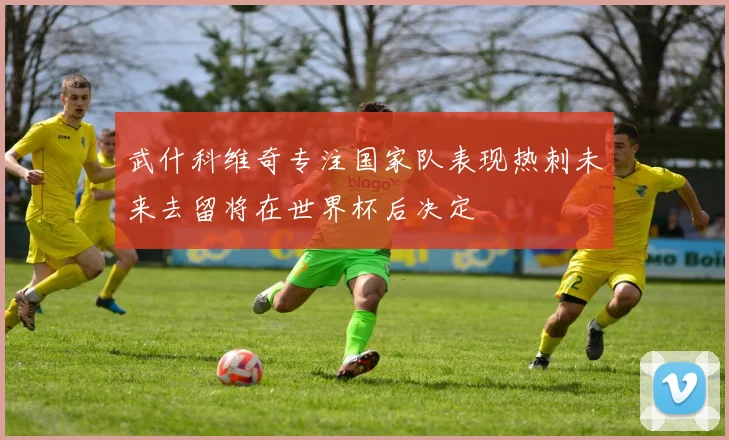 武什科维奇专注国家队表现热刺未来去留将在世界杯后决定