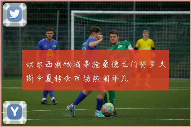 切尔西利物浦争抢桑德兰门将罗夫斯今夏转会市场热闹非凡
